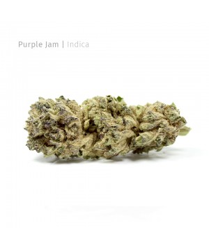 Purple Jam | Indica